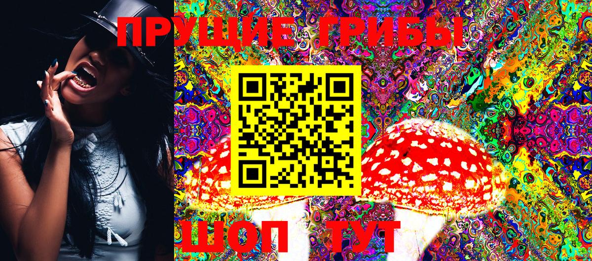 Псилоцибиновые грибы GOLDEN TEACHER  Галлюциногенные грибы мухоморы  Черняховск  Вход с VPN 