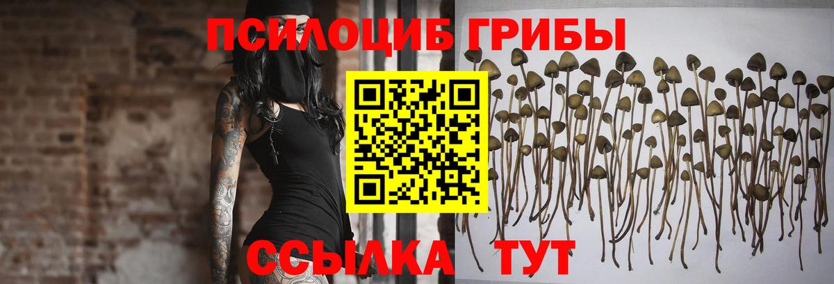 Псилоцибиновые грибы GOLDEN TEACHER Черняховск
